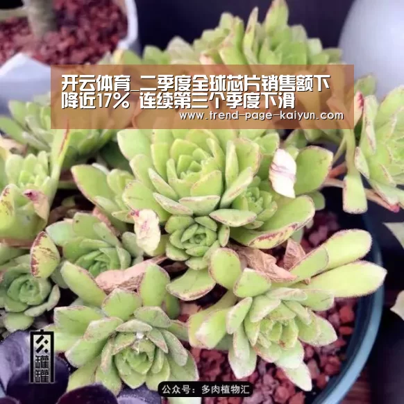 开云体育_二季度全球芯片销售额下降近17% 连续第三个季度下滑(图1) 开云体育首页